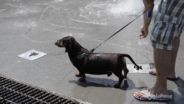 Caldo, anche a Torino è bollino rosso