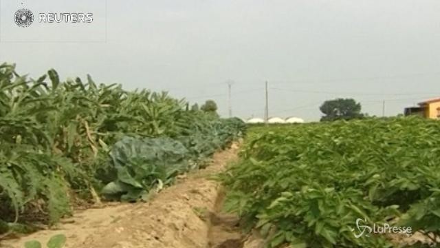 Siccità: stato di calamità per undici regioni
