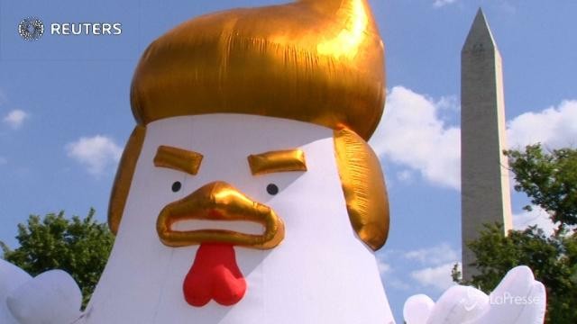 Di fronte alla Casa Bianca spunta un pollo gigante