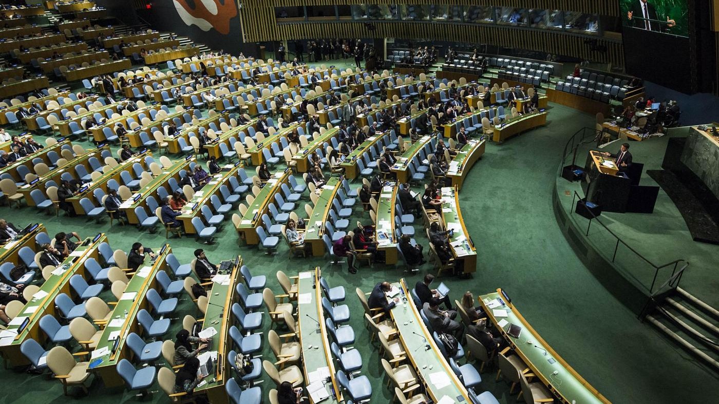 Soddisfazione a metà: seggio Onu condiviso tra Italia e Olanda