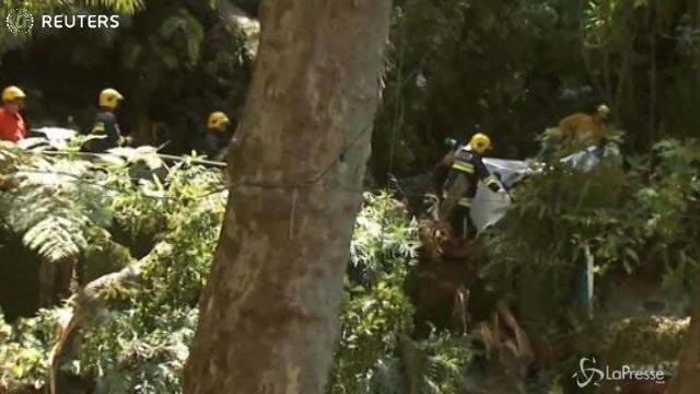 Albero cade sui fedeli a Madeira: almeno 11 morti