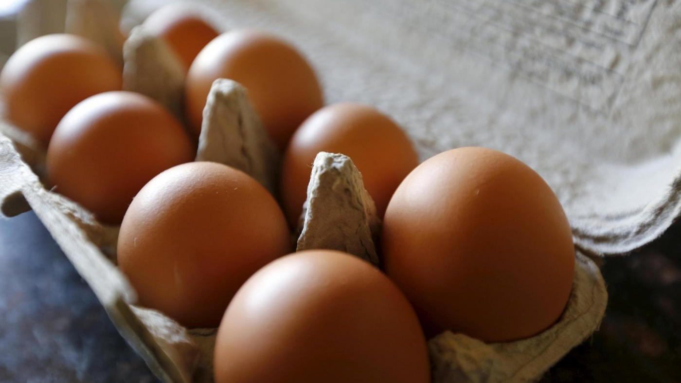 Rischio salmonella a Riccione: attenzione alle uova crude