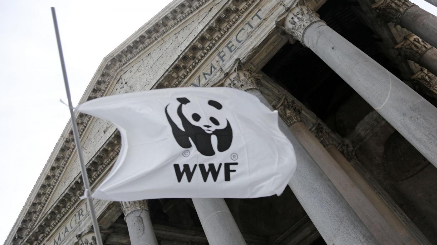 Ambiente, WWF compie 50 anni: Oggi 30 Oasi gratis in tutta Italia