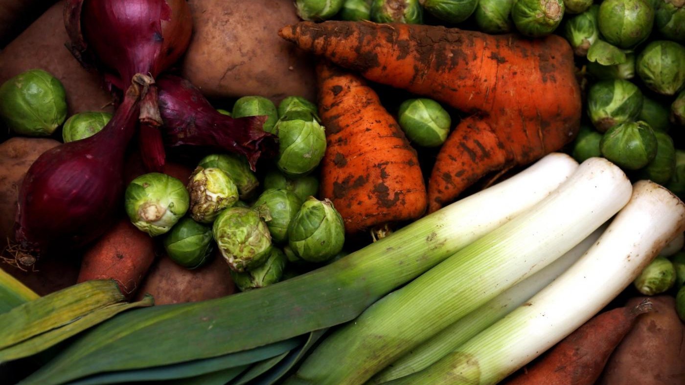 Dalle carote all’insalata: nel weekend il tintarella day