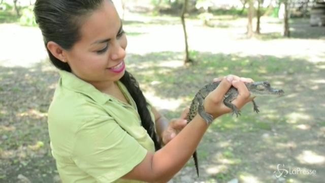 Messico: El Salado, la riserva naturale che resiste allo sviluppo turistico