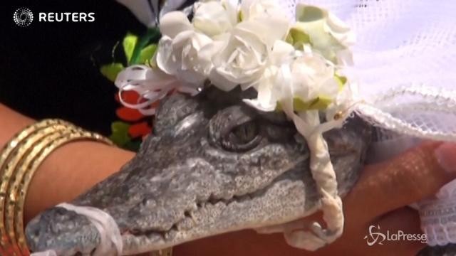 Messico, va in sposa a un sindaco tutta agghindata: è un coccodrillo