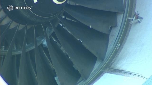 Gli uccelli danneggiano il motore, aereo costretto ad atterrare