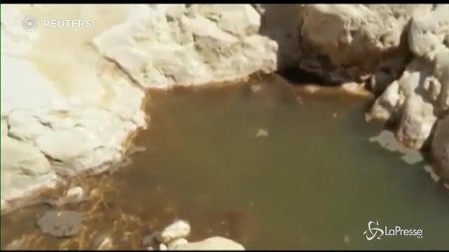 Acque tossiche, disastro ambientale in Israele