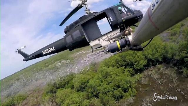 “Mosquito”, su Discovery il documentario sull’espansione della zanzara nel mondo