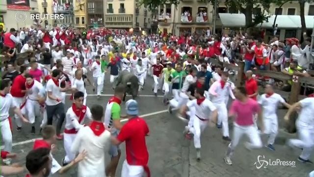 Pamplona: incornato da toro, grave un americano