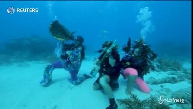 Florida, festival subacqueo per amanti di musica e mare