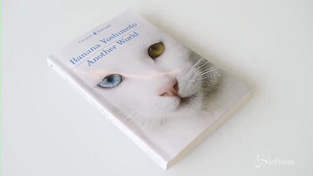VIDEO Yoshimoto: Il matrimonio è un diritto da tuterale