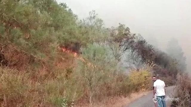 Il Sud Italia va a fuoco: fiamme sul Vesuvio