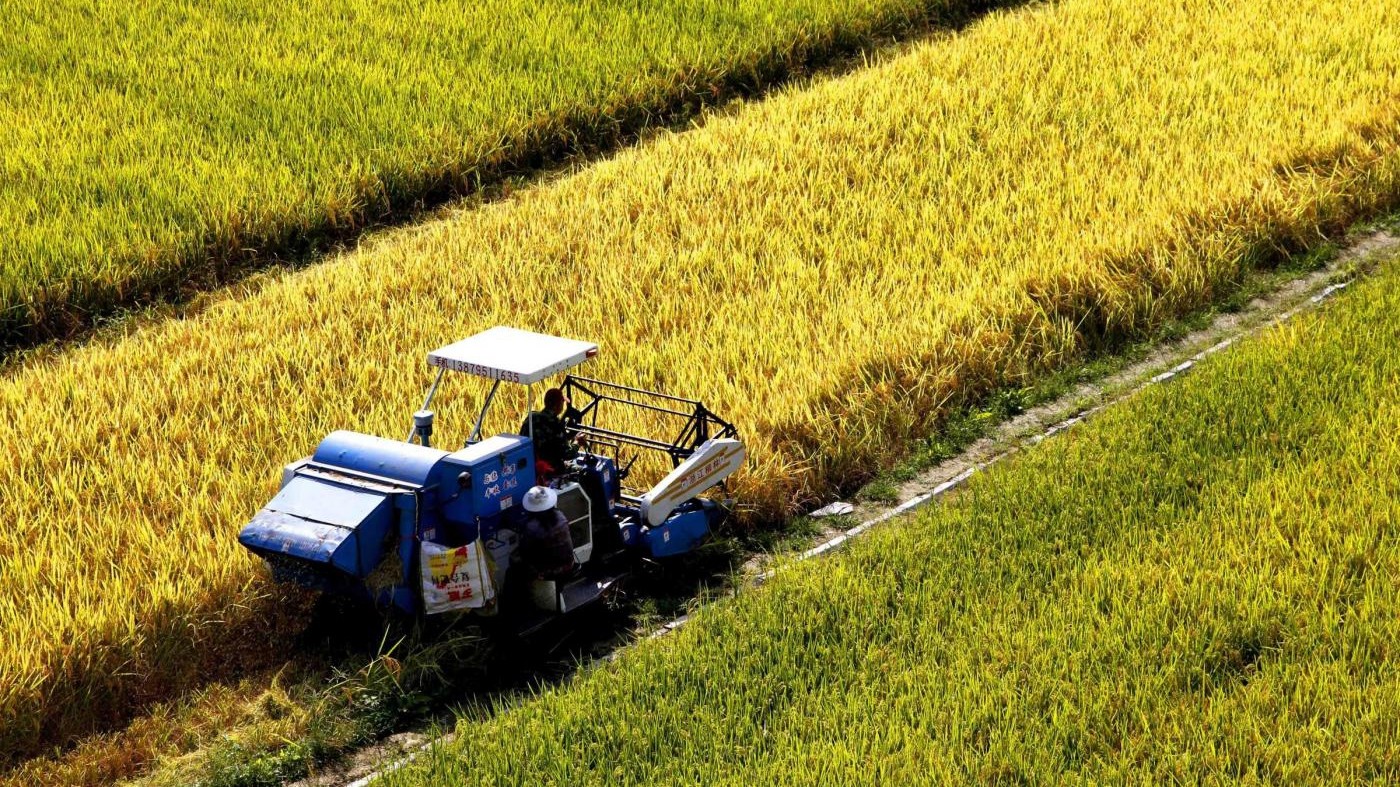 Lavoro, stretta sui voucher per garantire piena tracciabilità