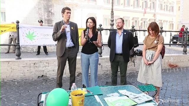 Radicali: corso di autocoltivazione di cannabis a Montecitorio