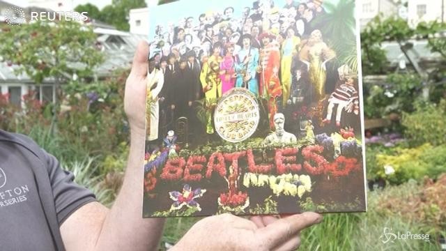 Musica: auguri Sgt Pepper!
