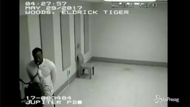 Tiger Woods, il nuovo video dell’alcol test in commissariato