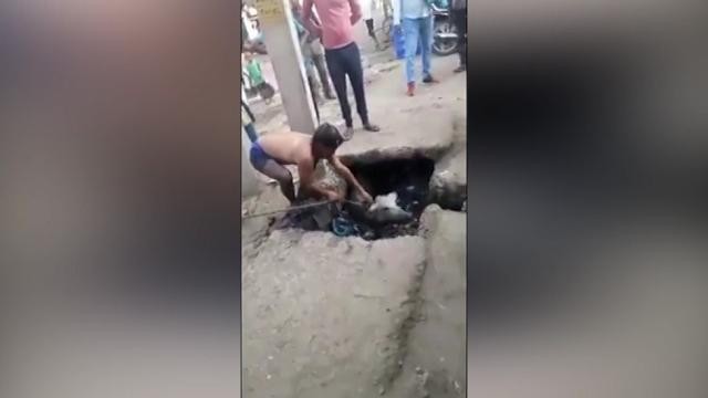 India: sblocca uno scarico dai rifiuti, spunta un vitello
