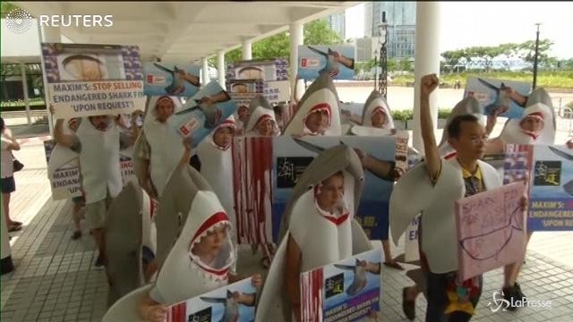 A Hong Kong le proteste contro la zuppa di pinne di squalo