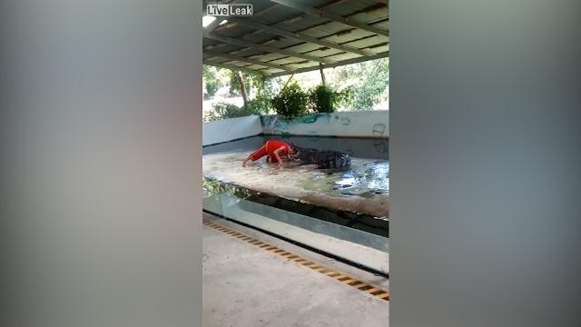 Mette la testa tra le fauci di un coccodrillo, la reazione dell’animale è spaventosa