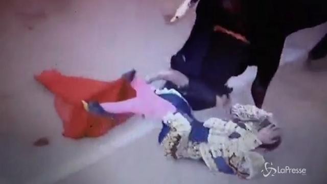 VIDEO Muore torero in Spagna, le immagini dell’incornata fatale