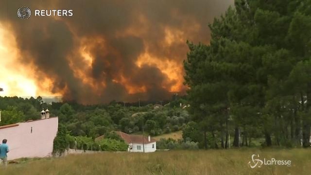 VIDEO In fiamme i boschi in Portogallo: decine di morti