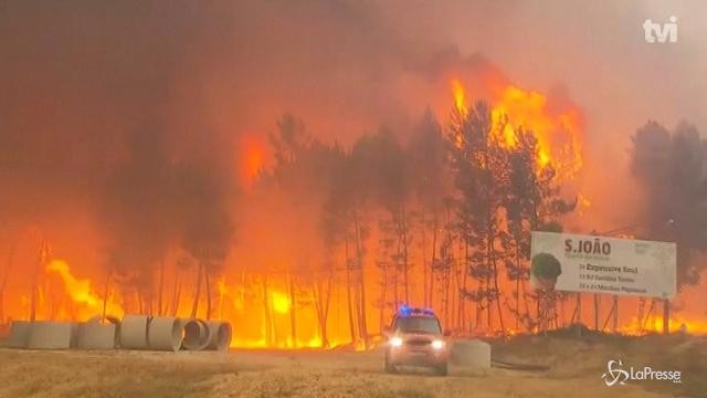 Incendio Portogallo, oltre 60 morti