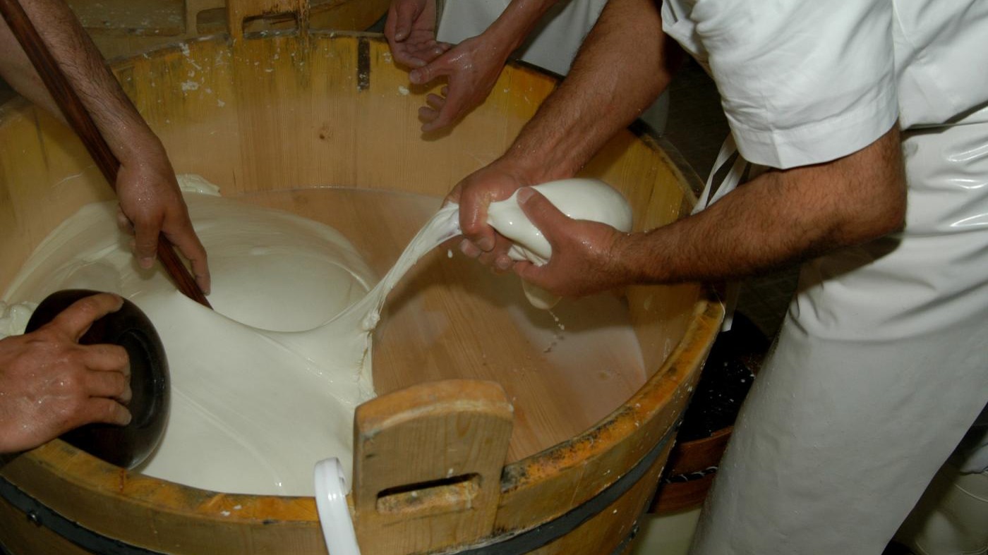 Milano, truffa della mozzarella di bufala da 20mila euro: 2 denunce