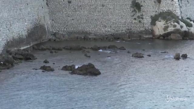 Fermati due minorenni per l’anziano spinto in mare a Monopoli