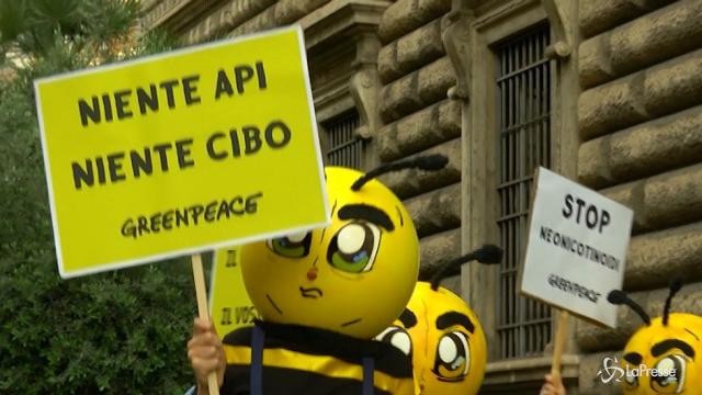 Le api in sciopero contro i pesticidi