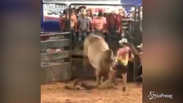 Rodeo folle: il toro lo lancia in tribuna, lui non si fa un graffio
