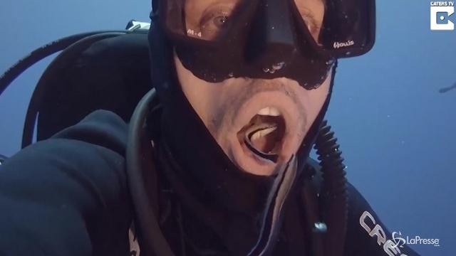 Il sub apre la bocca, i pesci gli fanno la pulizia dei denti