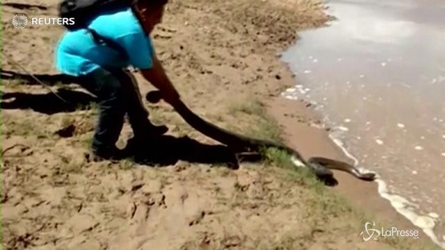 Perù, gigantesca anaconda intrappolata in una conduttura