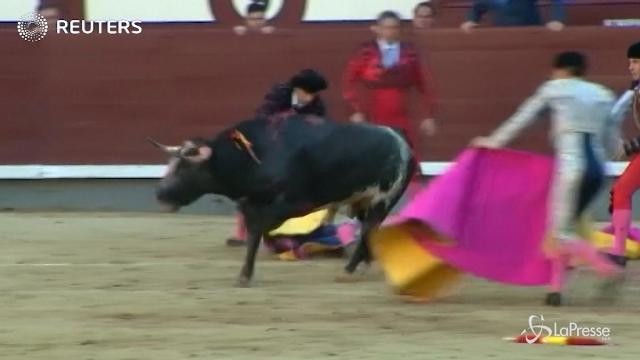 Torero incornato due volte a Madrid