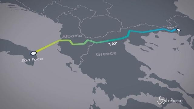 Sospeso l’espianto degli ulivi in Puglia