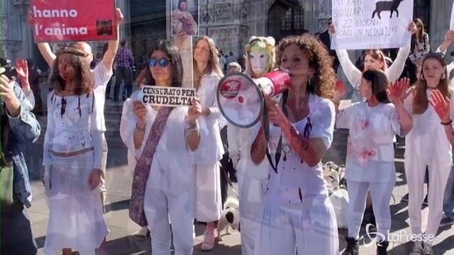 VIDEO Animalisti protestano in piazza Duomo: “Basta al sacrificio”