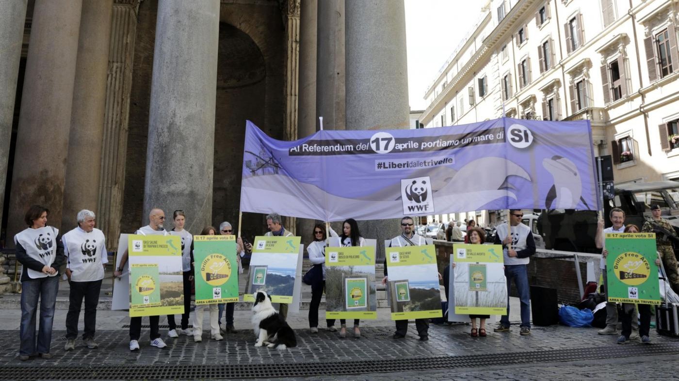 Trivelle, Wwf: Milioni di italiani chiedono un futuro rinnovabile