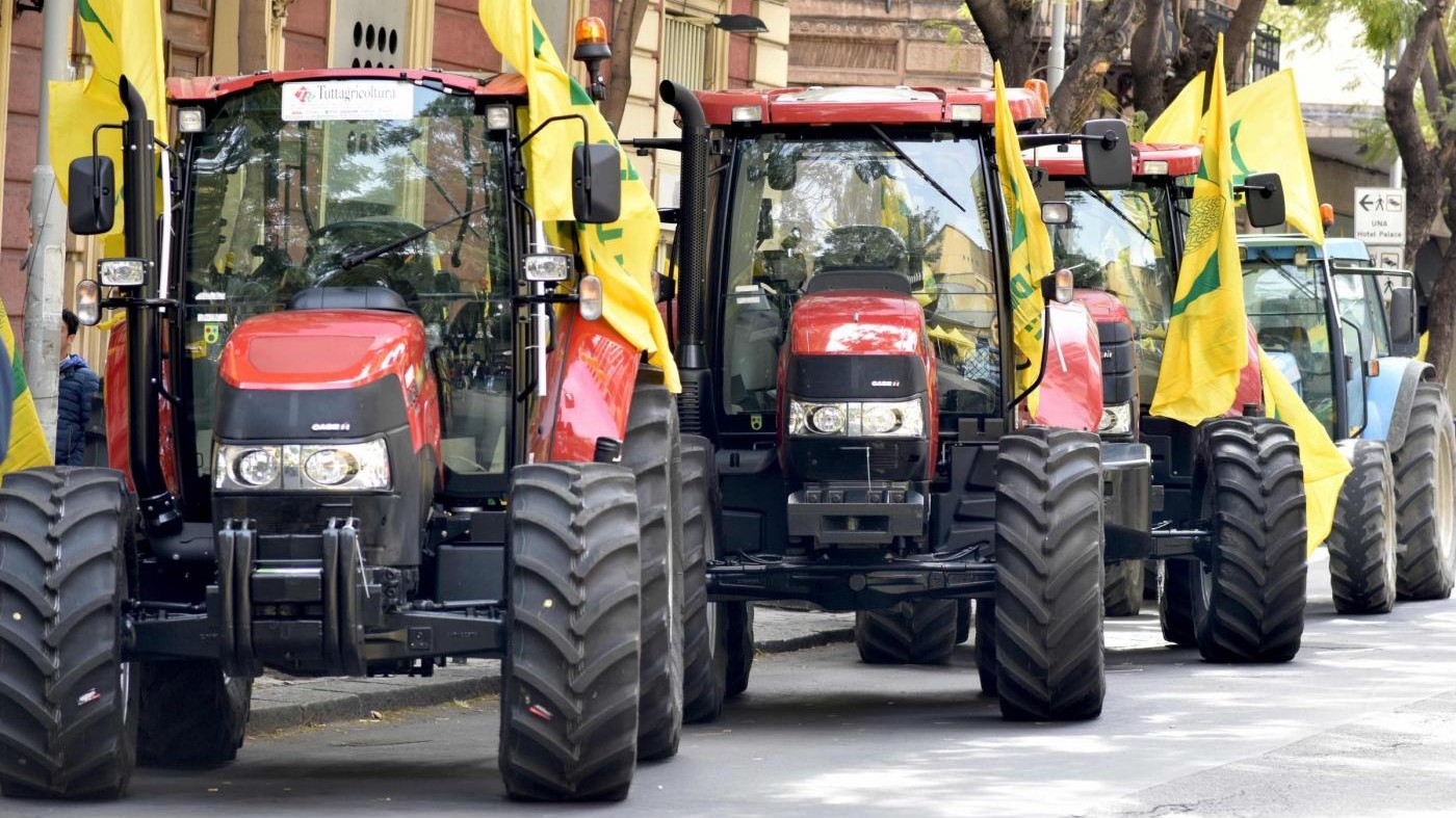 Ue, via libera a olio Tunisia senza dazi. Proteste a Catania