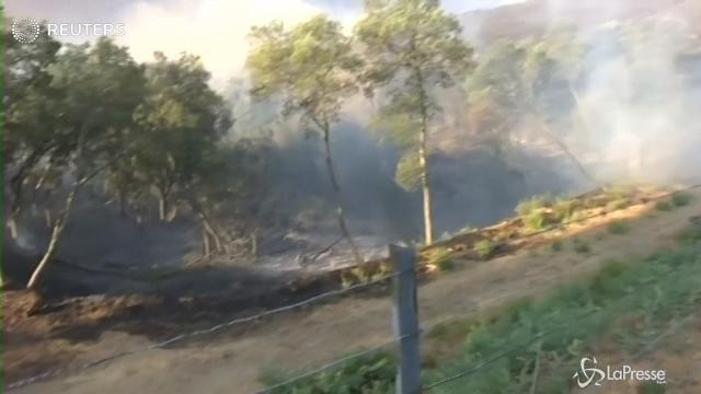 Costa Azzurra nella morsa dei roghi: 10mila evacuati