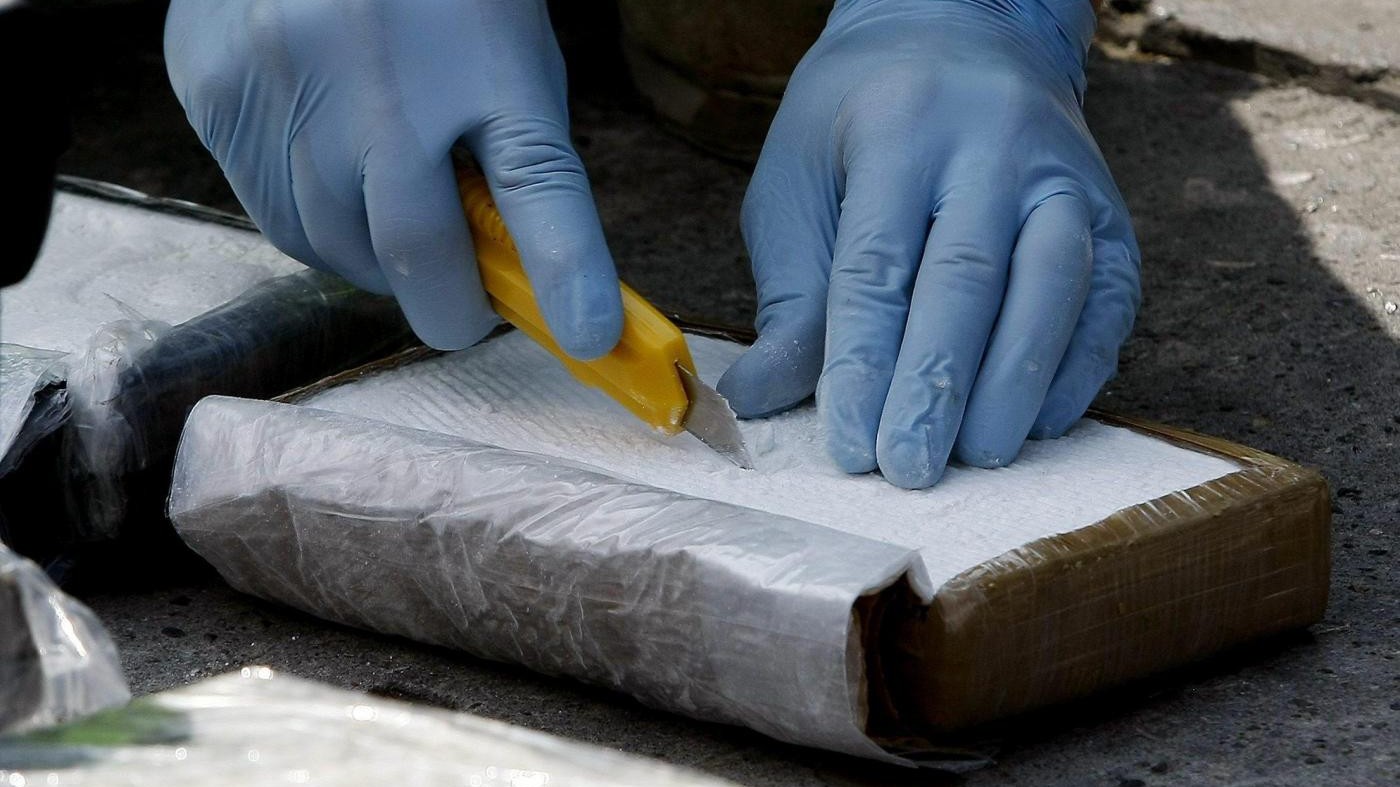 Catania, 9 arresti per droga: 16 chili di cocaina sequestrati