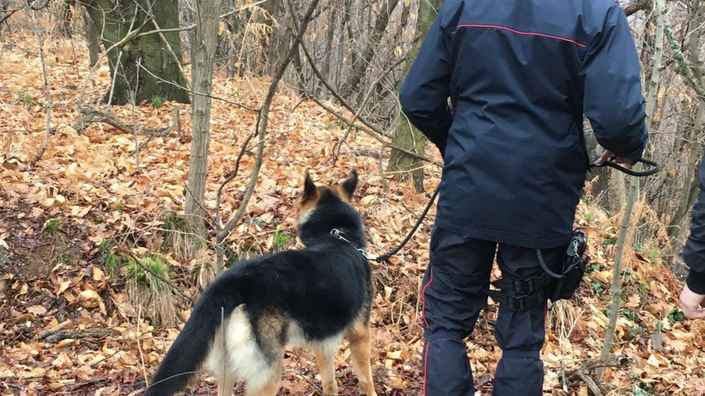 Reggello, in gravi condizioni bimba scomparsa con la nonna