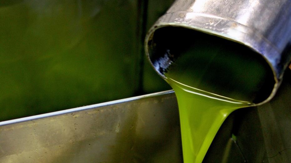 Olio, ecco che cosa prevede il primo piano nazionale italiano