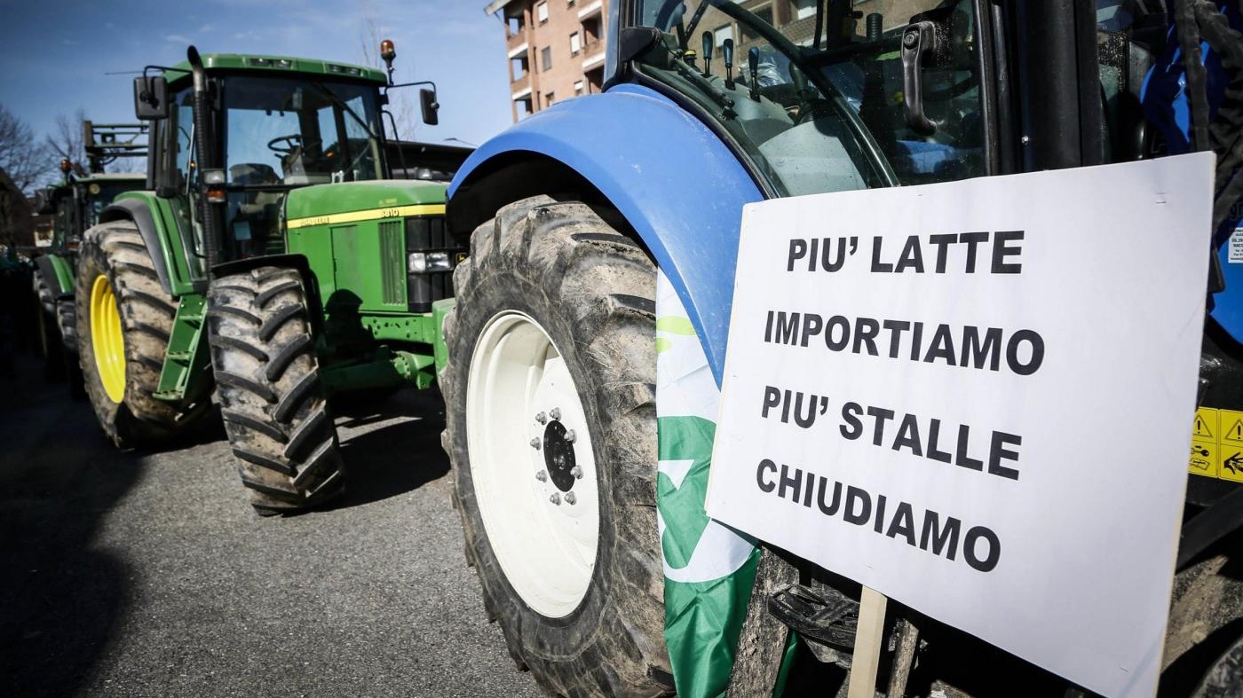 Guerra del latte: allevatori sabato in piazza a Udine