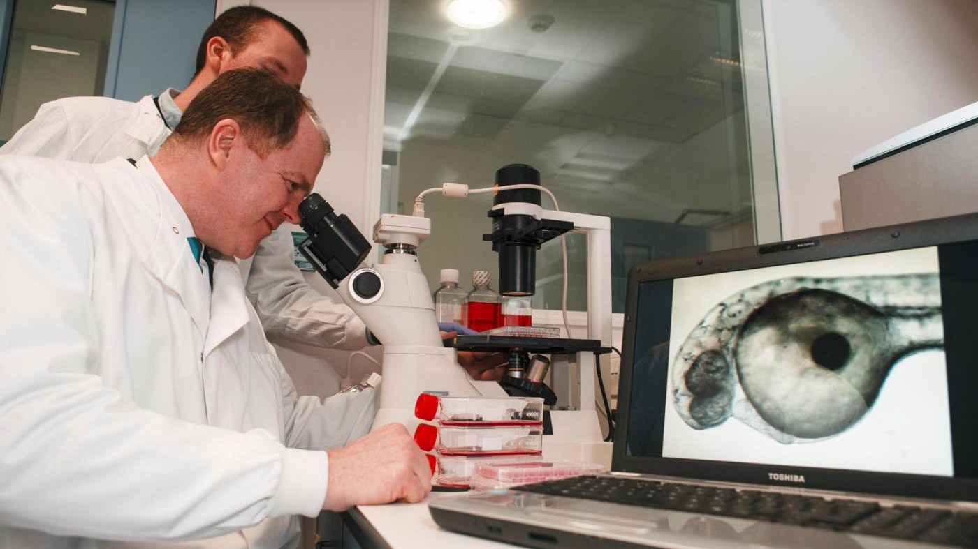 Tumori, dalla ricerca terapia con cellule contro cancro