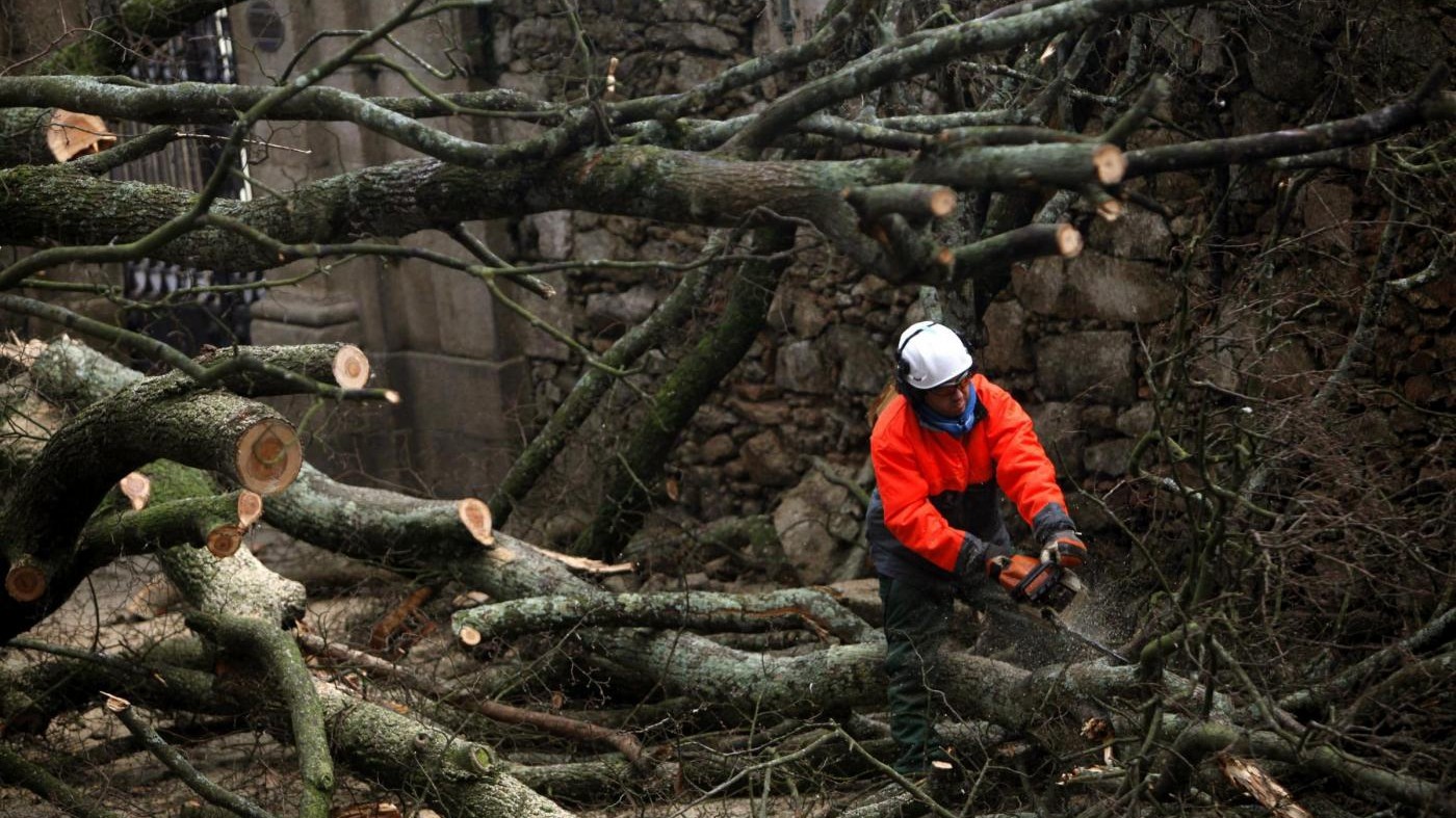 Roma, albero cade su auto ad Ardea: due morti
