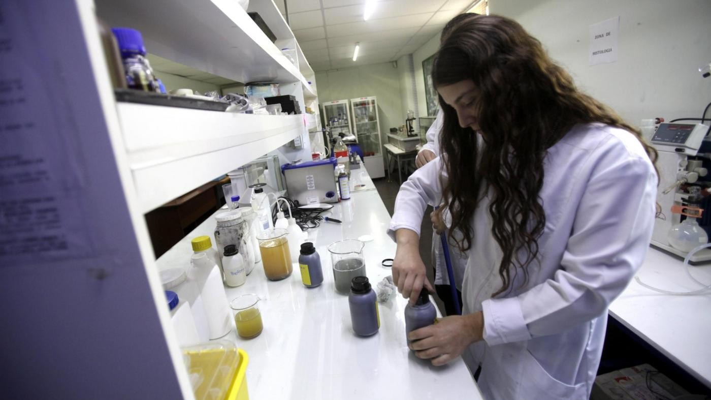 Google in campo contro Zika: un milione di dollari all’Unicef