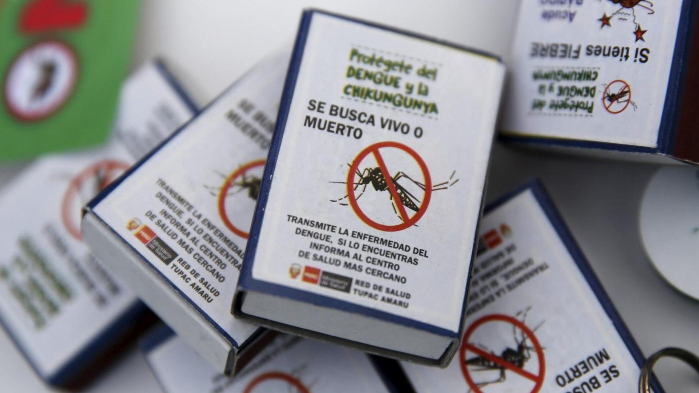 Virus Zika, l’Oms dichiara l’emergenza sanitaria globale