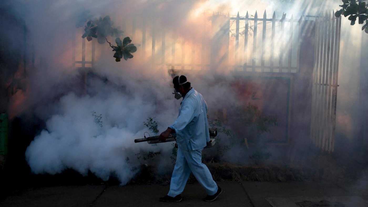 Zika, Oms: Creata unità risposta globale contro epidemia