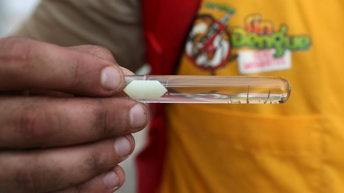 Virus Zika, Onu: Paesi garantiscano diritto all’aborto