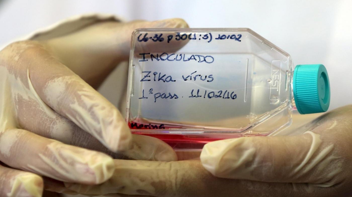 Virus Zika,  Oms: Vaccino su larga scala tra 18 mesi